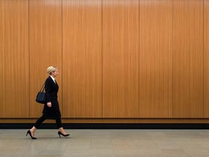 Senior Leadership & Organizational Development Consultant